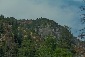 A forested mountainside with towering rock cliffs surrounded by evergreen trees under an overcast sky.