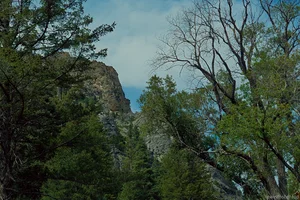 Tall trees frame a dramatic rocky cliff in a lush forest, creating a peaceful mountain landscape.