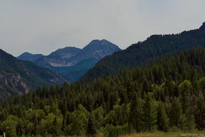 Layers of forested mountains stretch into the distance beneath a clear sky, with evergreen trees in the foreground.